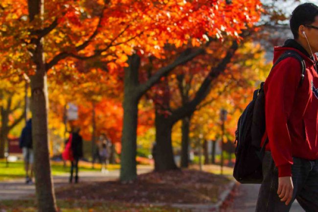 SAFETY TIPS TO LEARN WHILE STUDYING ABROAD